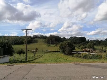 parcelle a batir anthelupt