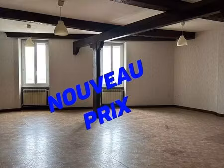 vente appartement 3 pièces 88 m² givors (69700)