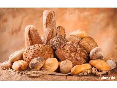 murs et fonds boulangerie patisserie