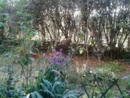 location appartement 2 pièces 51 m² à montpellier (34080)