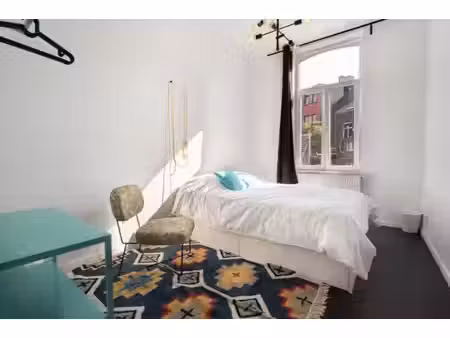 grande maison en colocation - villette