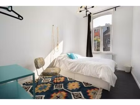 grande maison en colocation - villette