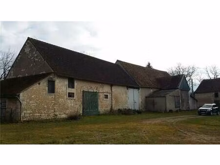 vente commerce 3 pièces 355 m² condé (36100)