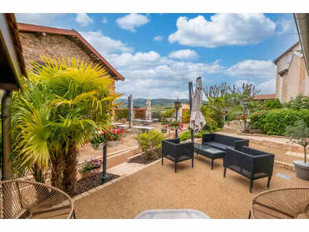 commerce à vendre à belleville-en-beaujolais (69220) - rhône