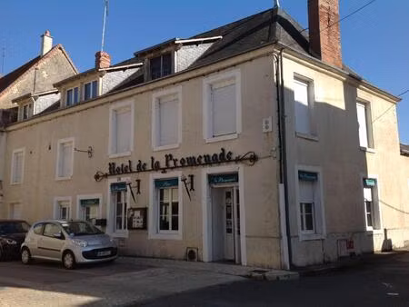 vente commerce saint-gaultier (36800)