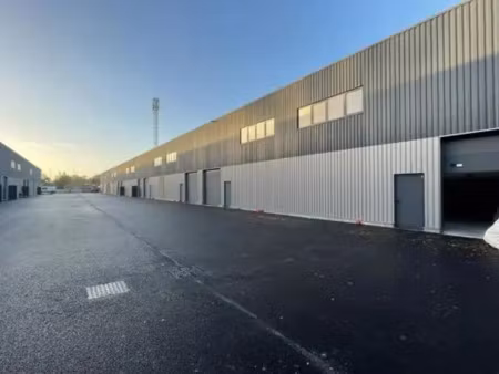 a louer - locaux d'activites 1 759 m² divisibles a partir de 209 m² - ambares-et-lagrave