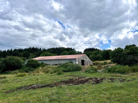 hangar en bois de 2001 sur 10ha