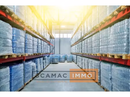 local d'activités de 4200m²