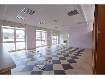 local commercial + entrepôt à betschdorf