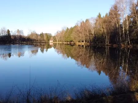 vente locaux professionnels 34741 m² à dun-les-places (58230)  160 000 €