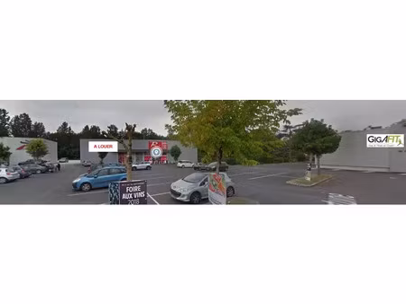 surface commerciale a louer site intermarche riberac