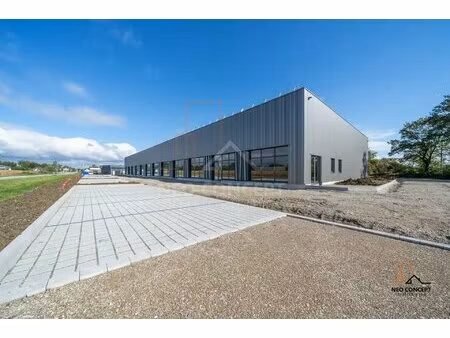 * neuf - locaux commerciaux - location * ... de 124 m² à 190 m² * z.a de sessenheim *