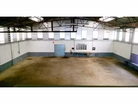 vente/location local d'activités tournoisis 460 m²