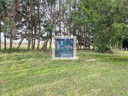 maison de plain pied  parc arboré  dépendances  3 chambres