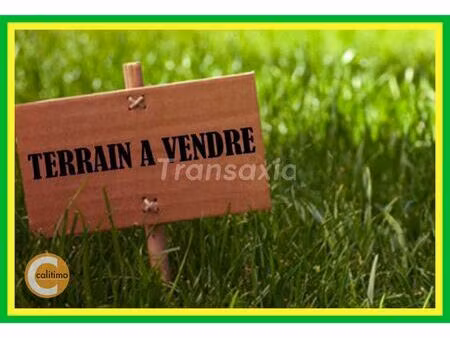 vente maison 1 pièce levroux (36110)