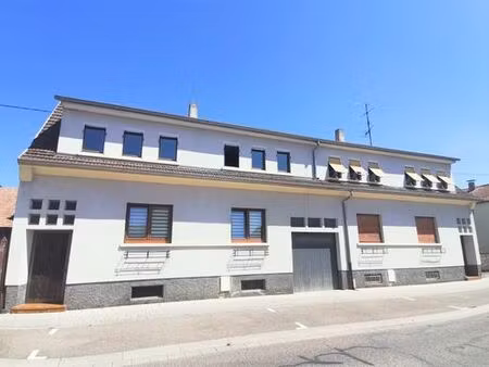 maison de luxe de 6 chambres en vente à biesheim  grand est