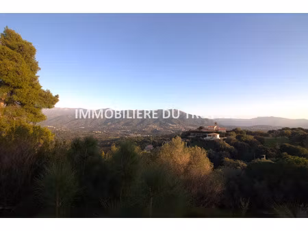 vente terrain 3000 m² à afa (20167)  230 000 €