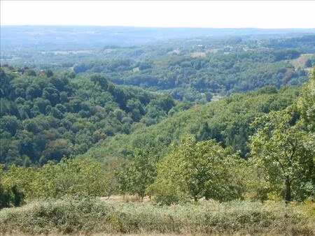 vente terrain 1126 m² altillac (19120)