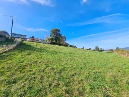 vente terrain 1470 m² ambert (63600)