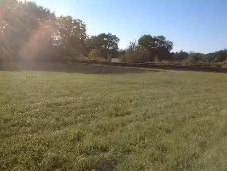 vente terrain 3000 m² bélâbre (36370)