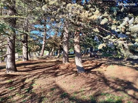 terrain 1 800 m² berre les alpes