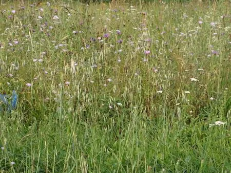 terrain de 916 m² m²