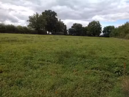 vente terrain 9298 m² chaillac (36310)