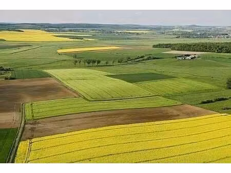 vente terrain 9200000 m² charenton-du-cher (18210)