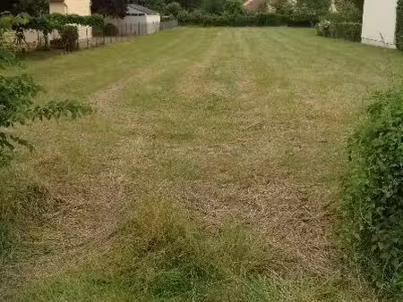 vente terrain 1313 m² ciron (36300)