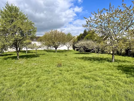 vente terrain 1324 m² à donnemarie-dontilly (77520)  55 000 €