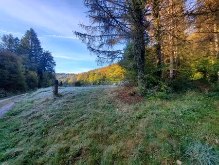 vente terrain 1700 m² doulaincourt-saucourt (52270)