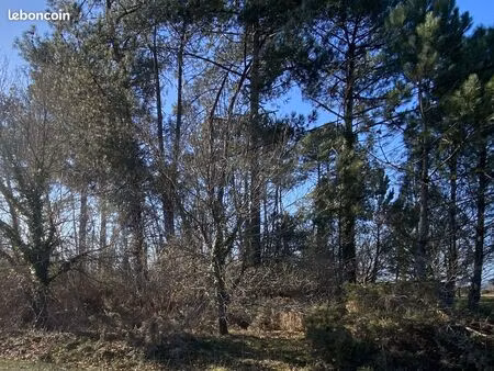 terrain 2484 m² lespéron