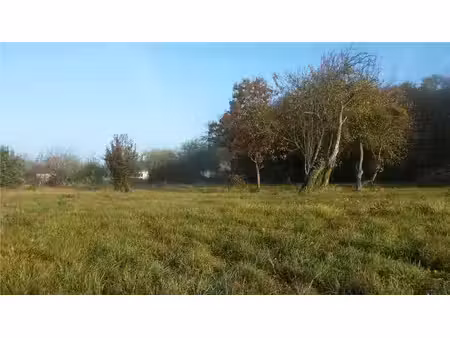 vente terrain 2500 m² luçay-le-mâle (36360)