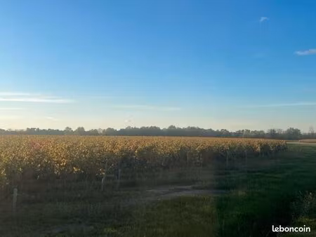 terrain 150000 m² lussac