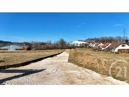 terrain à vendre - 701 m2 - maiche - 25 - franche-comte