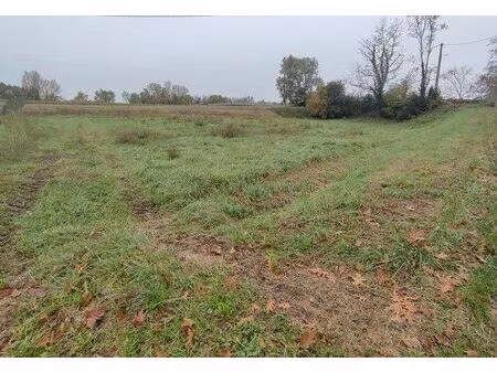 vente terrain 1590 m² malause (82200)