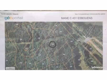 terrain avec bois sur pied 7030 m2