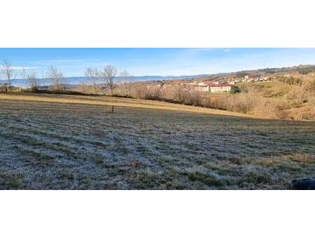 vente terrain 1245 m² montchal (42360)