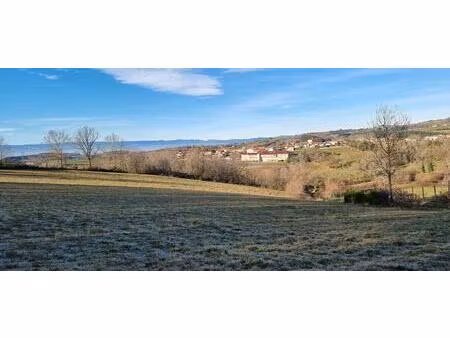 vente terrain 1329 m² montchal (42360)