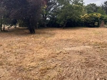 terrain 1 732 m² noe