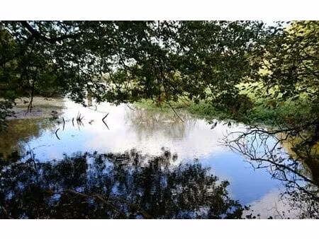 terrain neung-sur-beuvron 10836 m² t-0 à vendre  82 500 €