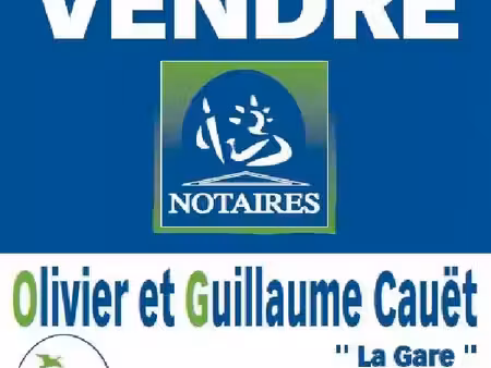 vente terrain 1137 m² saint-gaultier (36800)