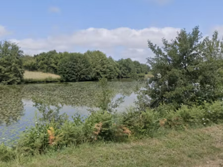 vente terrain 20248 m² à saint-sébastien (23160)  60 000 €