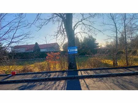 vente terrain 2600 m² sainte-sigolène (43600)