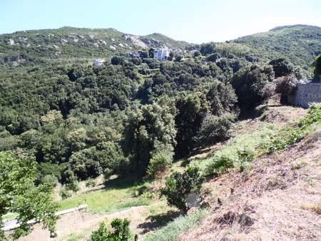 terrain san martino di lota 2006 m2