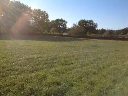 vente terrain 3000 m² bélâbre (36370)