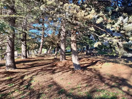 vente terrain à batir 1800 m² à berre-les-alpes (06390)  229 000 €