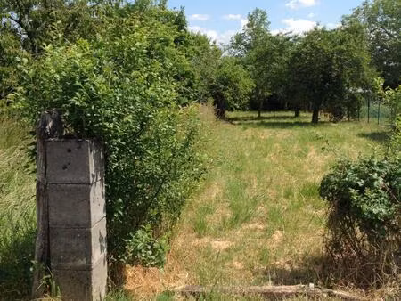 vente terrain 1160 m² chasseneuil (36800)