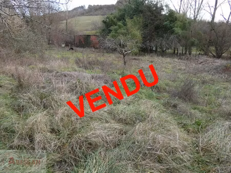 vente terrain constructible cordes-sur-ciel  29 000€ tarn midi-pyrénées n°