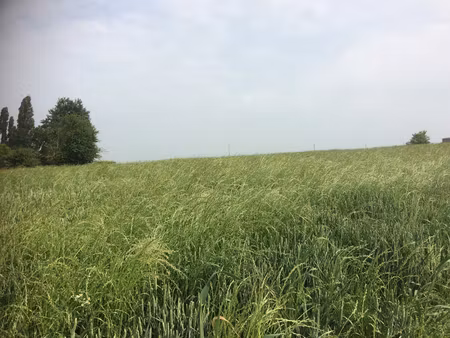 dans un village proche etrépagny terrain à bâtir de 1000 m²